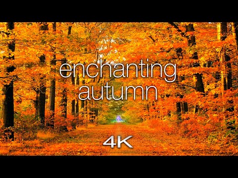 ENCHANTING AUTUMN in 4K UHD - 1 Hour of Amazing Fall Nature Scenes + Spa Music by Nature Relaxation Video