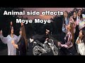 Animal side effects || Moye Moye || Funny Video || Smarika samarika Dhakal ||