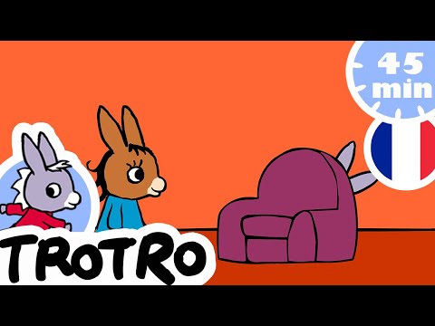 45 MINUTES DE TROTRO - 🤩  Trotro joue avec Lili 🤩