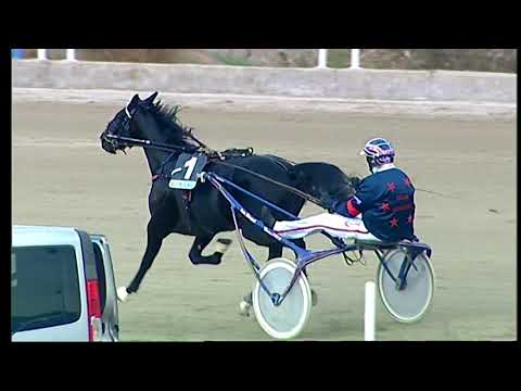 Napoli Trotto 05/11/2021 - 1ª corsa