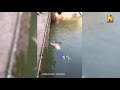 British Diplomat Rescues Drowning Woman In China