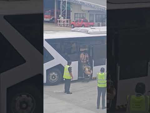 Ônibus de traslado do aeroporto da Tailândia 🚍