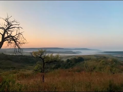 absztinencia állandó erekcióval a pénisz nem teljesen feszült