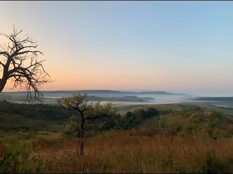 A legjobb gyógyszer az emberi paraziták ellen