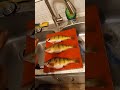 Video Thumbnail for Jumbo Perch. #Lake Of The Prairies .