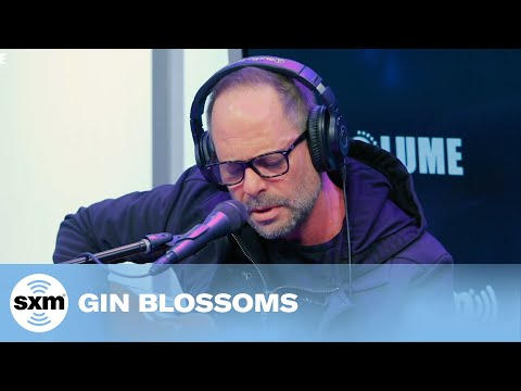 Competition Smile - Gin Blossoms