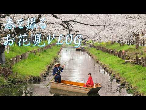 【Vlog】川越お花見散歩をしてきました