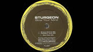 Sturgeon - Blow Your Mind (Raw Flava Mix)