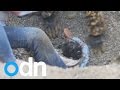 Rescuers free boy from pile of gravel in China 