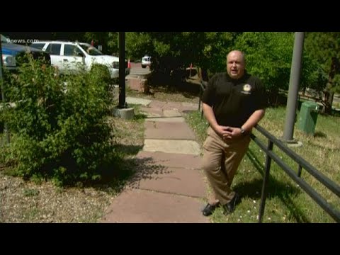 Bear spotted on busy move-in day at CU Boulder