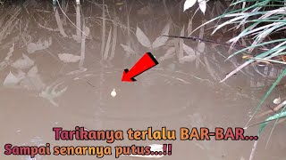 Download lagu PELAMPUNG NGETRIK TERUS MANCING UMPAN CACING mp3