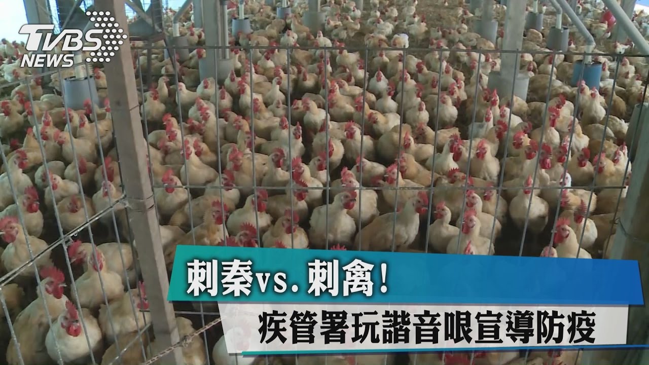 刺秦vs.刺禽! 疾管署玩諧音哽宣導防疫