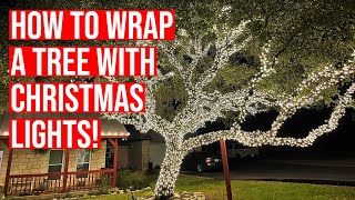 How to wrap a tree with Christmas lights