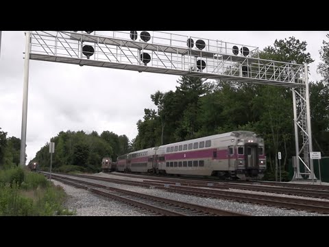 Three way meet at Myricks! Restored South Coast Rail action - Summer 2025