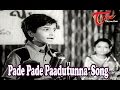 Seeta Mahalakshmi Movie Songs | Pade Pade Paadutunna Song | Chandra Mohan | Rameshwari