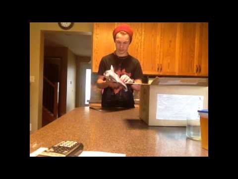 G Form crash shorts pro! Unboxing video. These are the new 2014 crash shorts