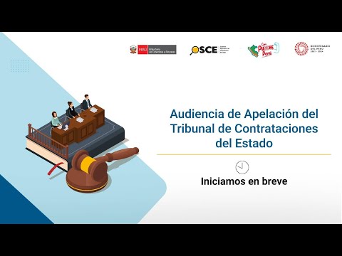 Audiencia de Apelación del Tribunal de Contrataciones del Estado S.3. EXP. 3696 -2024.TCE