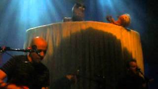 Ovelha  Negra - Pato Fu - Ipatinga