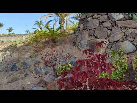 Mein neuer idyllischer Schlafplatz unter freiem Himmel in La Gomera 🏝️🤗😍