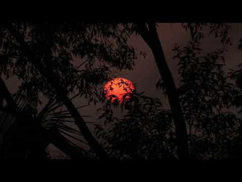 Ryan Murgatroyd, QT-HIGH, Kreative Nativez, Lizwi - Olympia (Extended Mix) || Afro House Source