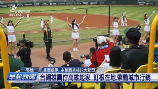 [分享] 公視台語台的台鋼雄鷹新聞