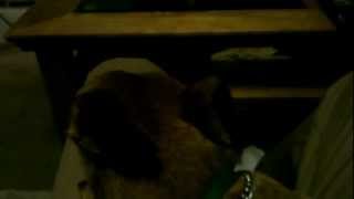 Blu & Exile- A Letter (Peace FreeVerse)