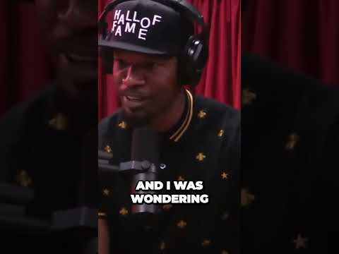 Pit Bulls Jokes and Unexpected Backlash Jamie Foxxs Hilarious TV Moment