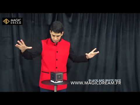 Tora Dice and silk zebra  www magicdream fr