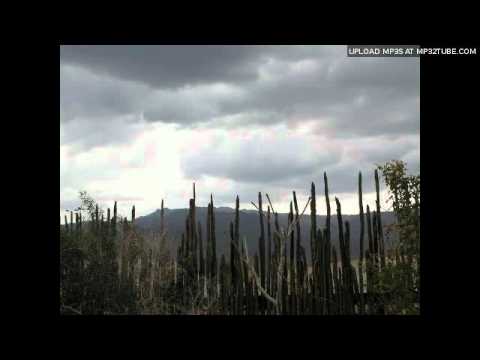 Exodus Quartet   Tribute To Mr  Cool