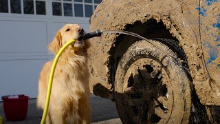 Subaru Handwash | Subaru Outback Wilderness Dog Tested