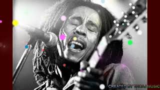 Bob Marley   Babylon System lyrics