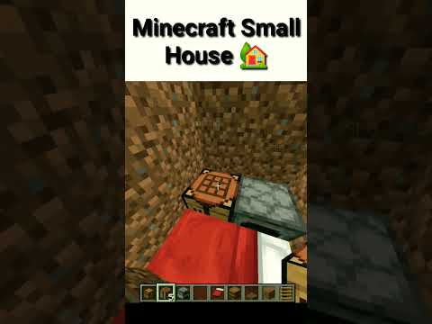 Insane Minecraft Mini House Build! 🏠 #shorts