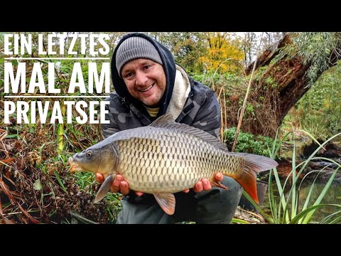 Ein letztes mal am Privatsee /Die Entscheidung für eine Boiiebude ist gefallen/Karpfen Ultras /TB 81