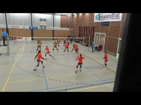 Seesing Flex | Longa'59 D2 VS Set-up'65 D2