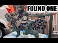 I FOUND ARTIFACTS IN AN ABANDONED STORAGE LOCKER STORAGER STALKER Gets A Free Storage Unit