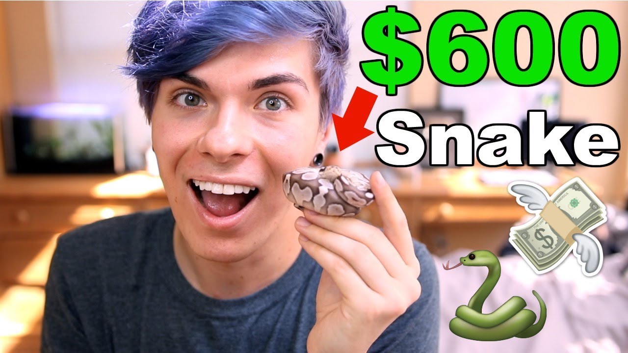 I Spent $600 on a Ball Python