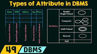 Types of Attribute in DBMS