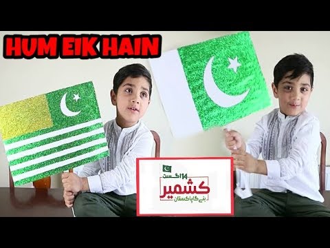 DIY Pakistan & Kashmir Flags - 14th August | HUM EIK HAIN | KIDS Special