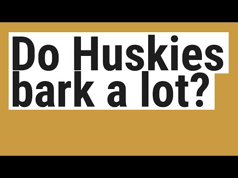 Do Huskies bark a lot?