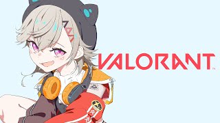 【 VALORANT 】こんな珍しいフルパが！？💥🔫【 ぶいすぽっ！ / 小森めと 】