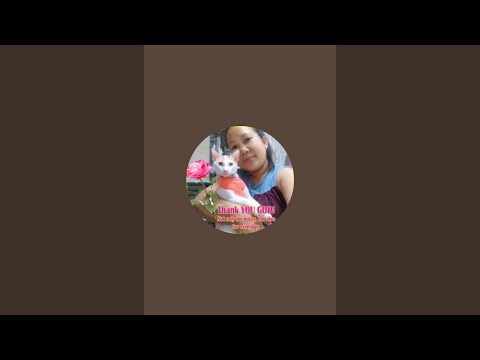 Mommy the Explorer 2.0 is live!