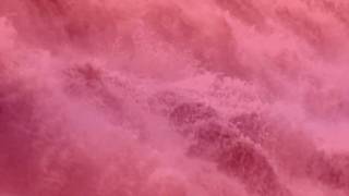 Korallreven - The Truest Faith