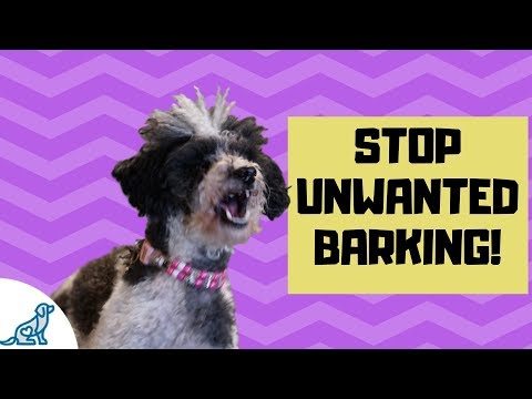 How To Teach Your Dog To Be Quiet By Barking On Command!