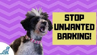 How To Teach Your Dog To Be Quiet By Barking On Command!