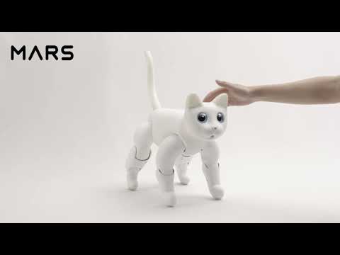 Marscat | When You are Touching MarsCat's Head