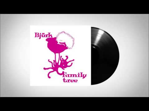 Videoclip de Fuglar — Björk