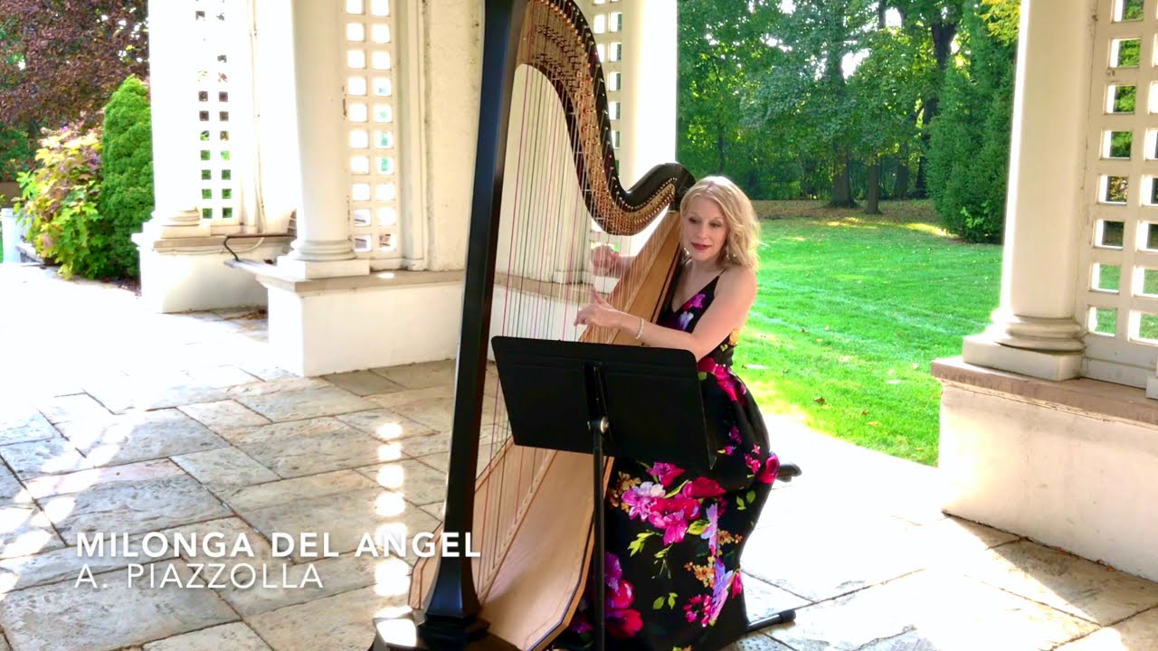 Promotional video thumbnail 1 for Nichole Young, Harpist