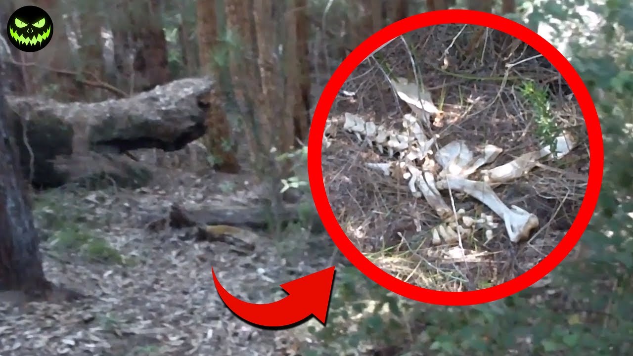 5 YouTubers Who Experienced Disturbing Moments in Sinister Explorations! Episode 4