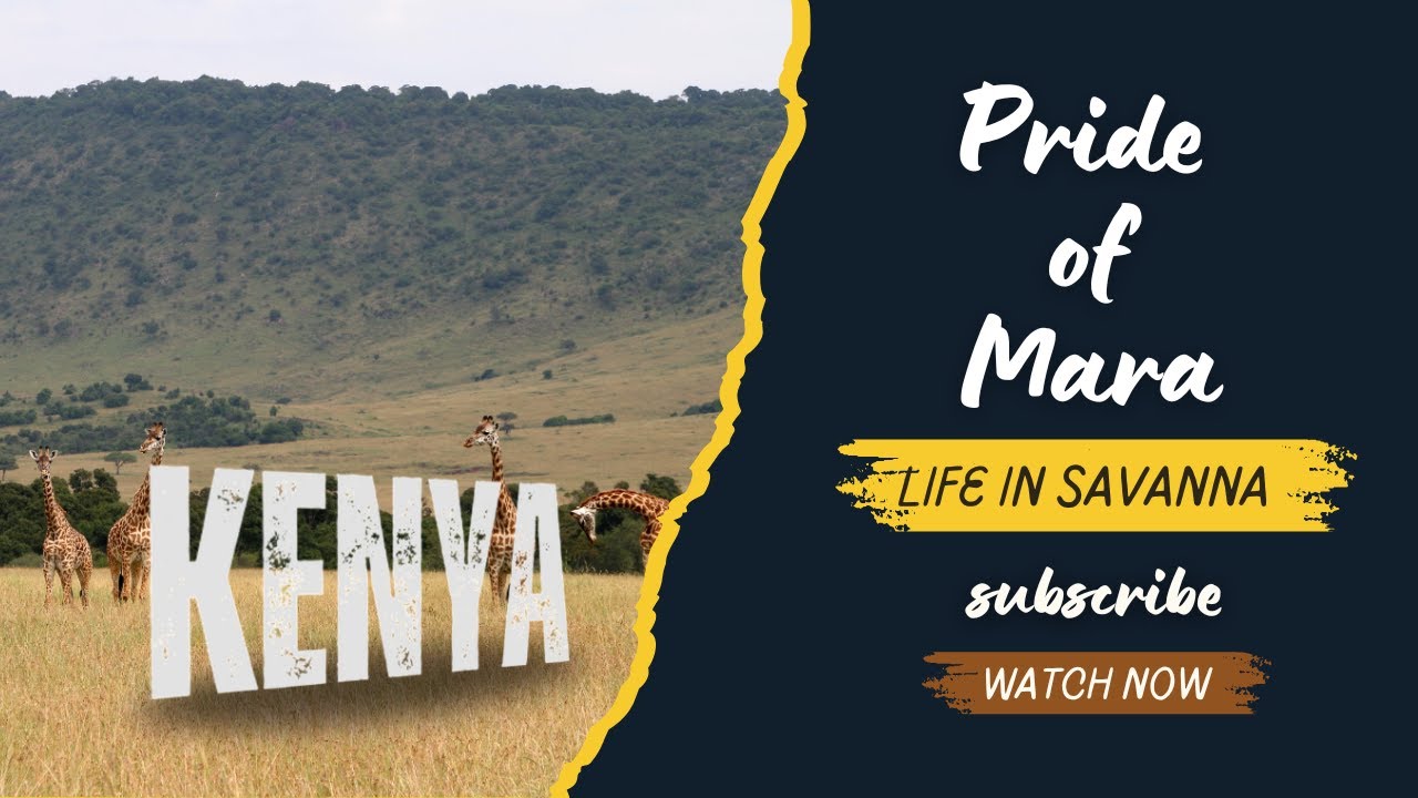 A DAY IN SAVANNAH - GREAT BATTLE