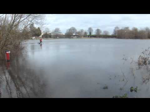 Flooding Chertsey Meads